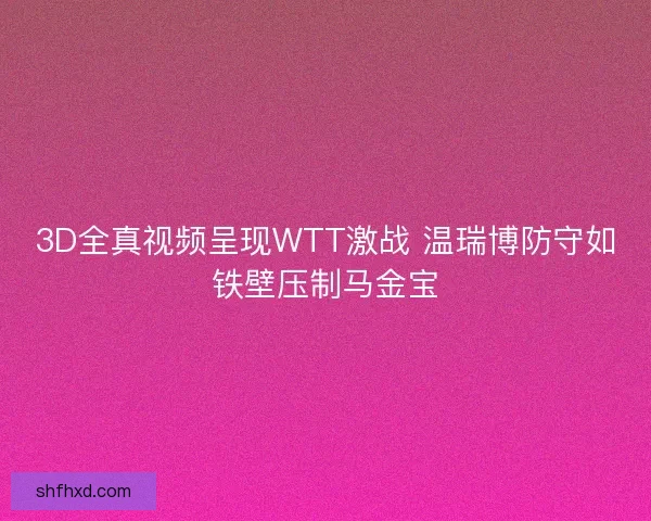 3D全真视频呈现WTT激战 温瑞博防守如铁壁压制马金宝